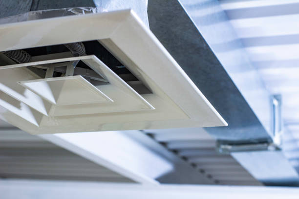 Best Professional Duct Cleaning Services  in Lake Erie Beach, NY