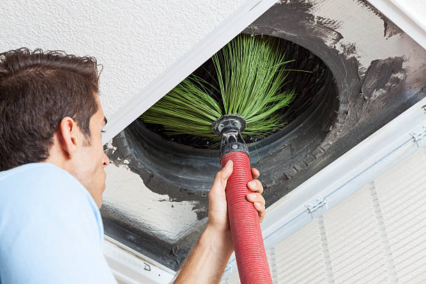 Best Home Air Vent Cleaning  in Lake Erie Beach, NY